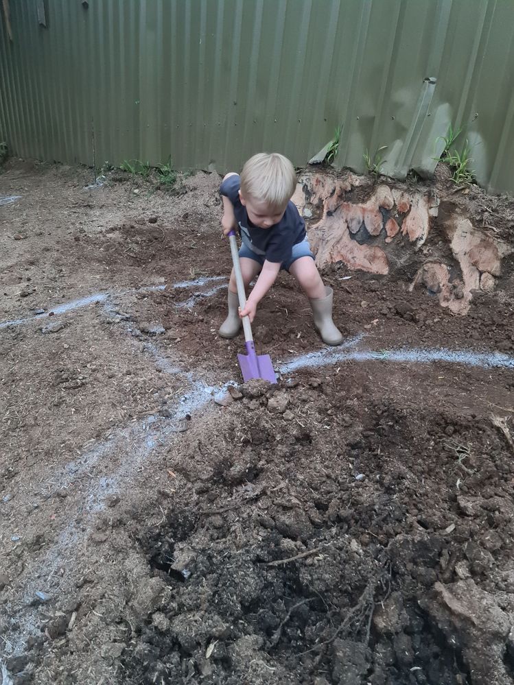 20210902_175450.jpg 20210902_175450.jpg