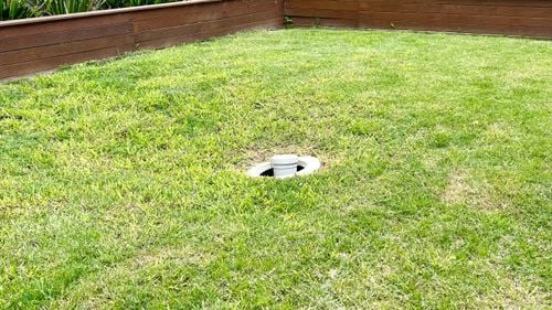 IMG_6341.jpeg IMG_6341.jpeg