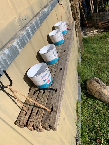 IMG_9906.jpeg IMG_9906.jpeg