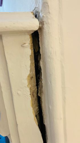 IMG_7287.jpeg IMG_7287.jpeg