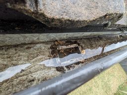 PXL_20251007_025001763.jpeg PXL_20251007_025001763.jpeg