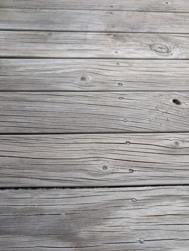 1000004764.jpg 1000004764.jpg