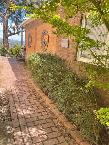 C46131EE-703E-40D9-9CB5-C77AB69D09D0.jpeg C46131EE-703E-40D9-9CB5-C77AB69D09D0.jpeg