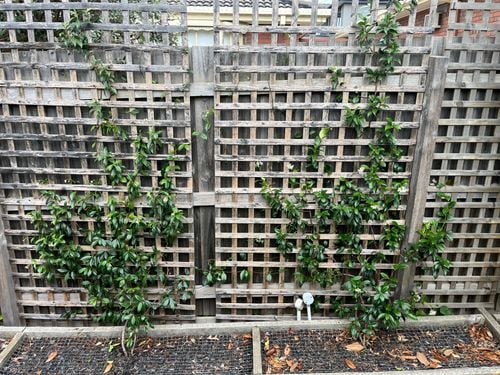 IMG_5889.jpeg IMG_5889.jpeg