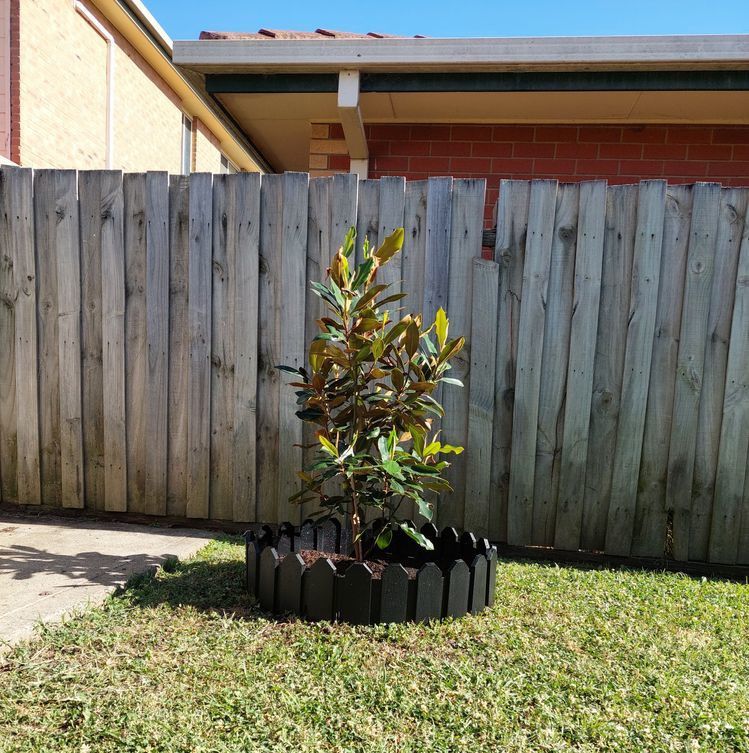 2023_0109_090624.jpg 2023_0109_090624.jpg