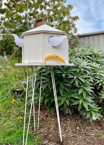 IMG_8203.jpeg IMG_8203.jpeg