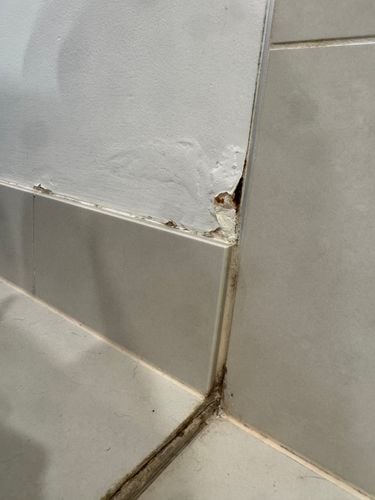 IMG_9772.jpeg IMG_9772.jpeg