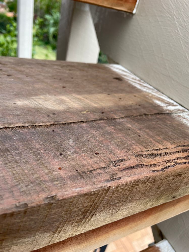 large cracks.jpeg large cracks.jpeg