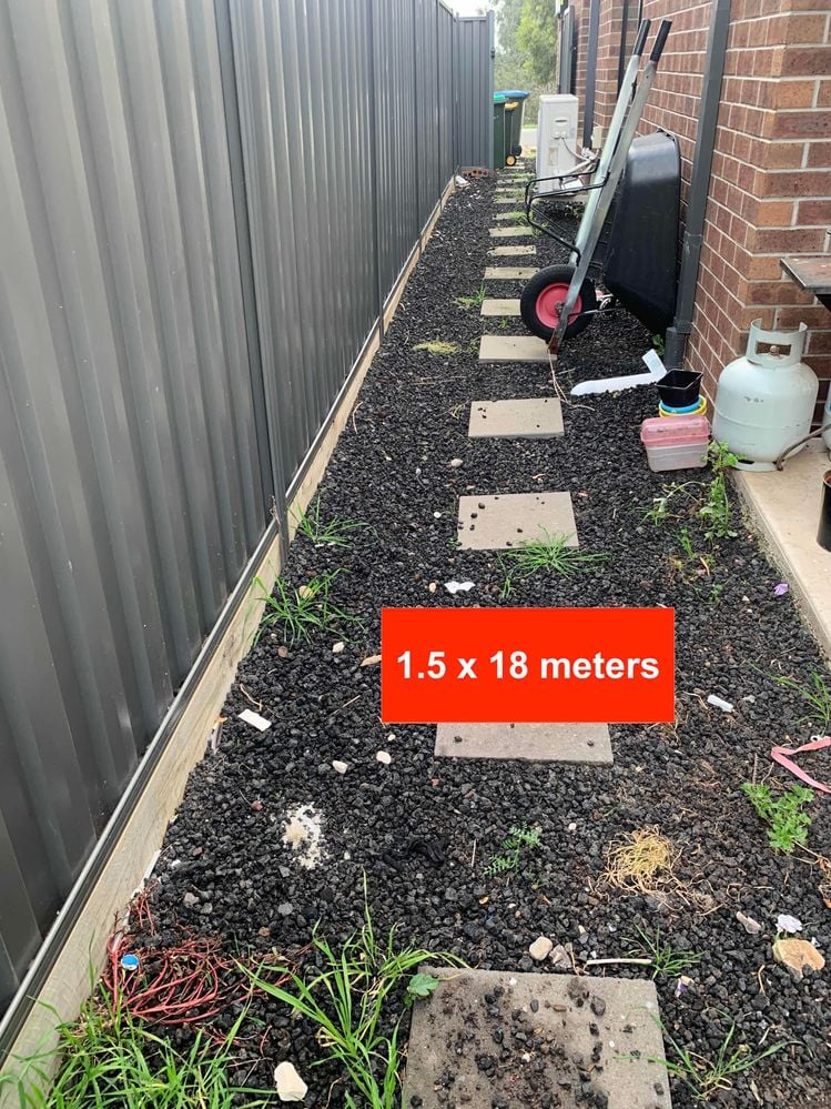 street1.jpg street1.jpg