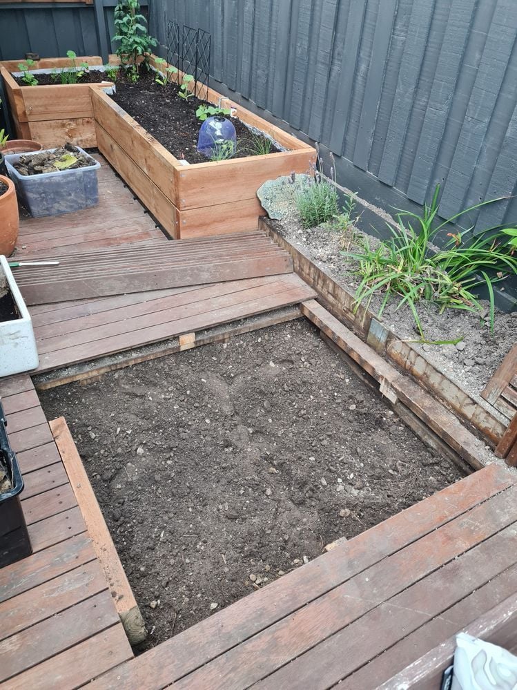 RobP_2-1721305438379.jpeg RobP_2-1721305438379.jpeg