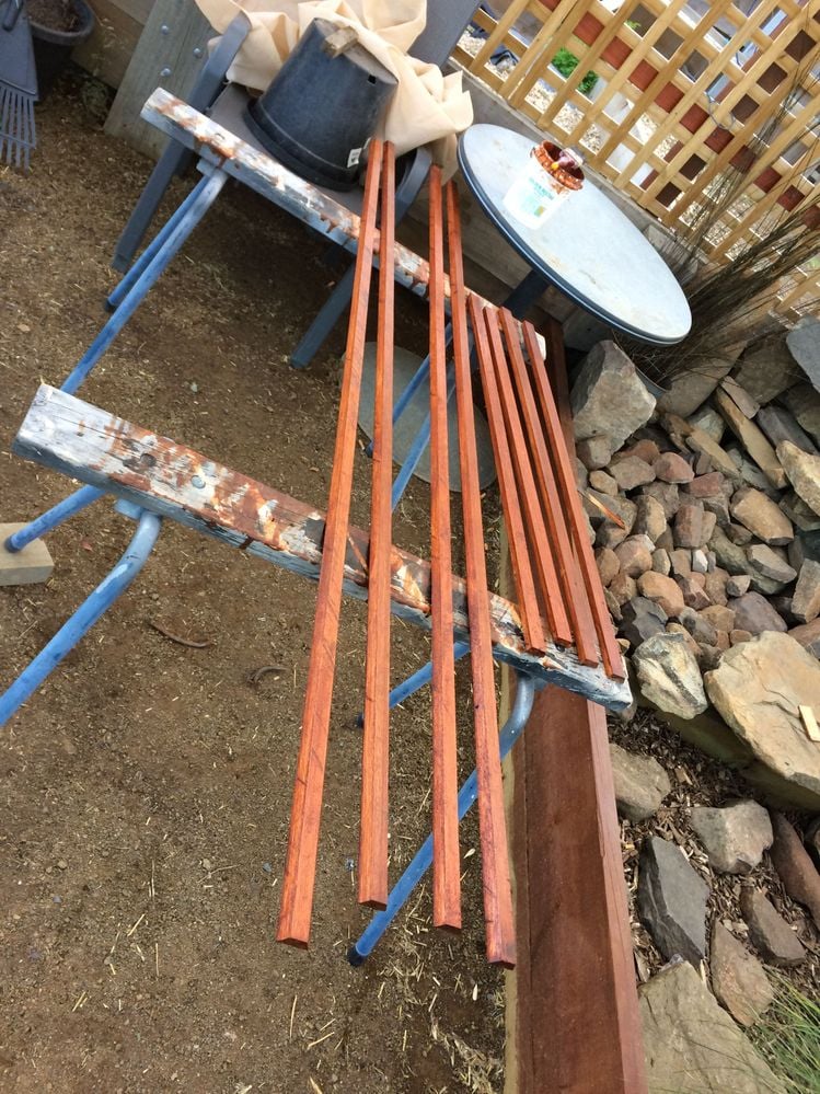 IMG_3154.JPG IMG_3154.JPG