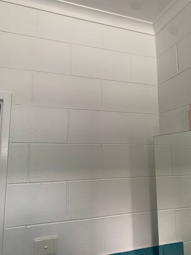 IMG_1197.jpeg IMG_1197.jpeg