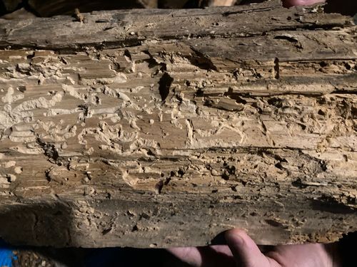 IMG_7610.jpeg IMG_7610.jpeg