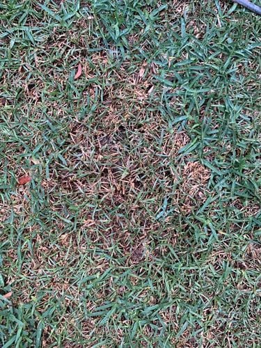 NateZheng_0-1695041693496.jpeg NateZheng_0-1695041693496.jpeg