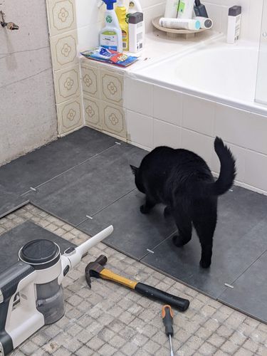 BEA69488-FDA6-4F20-B164-B8909BD36E35.jpeg BEA69488-FDA6-4F20-B164-B8909BD36E35.jpeg