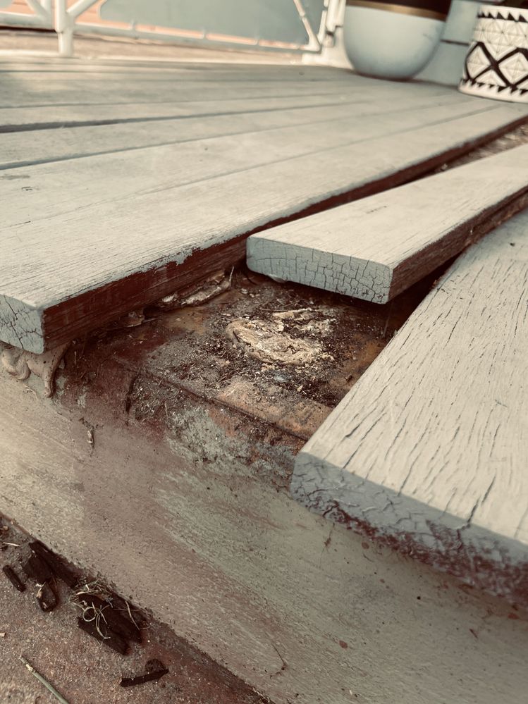 IMG_5834.jpeg IMG_5834.jpeg