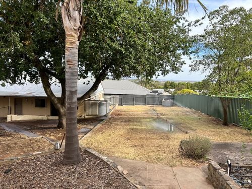 IMG_4050.jpeg IMG_4050.jpeg