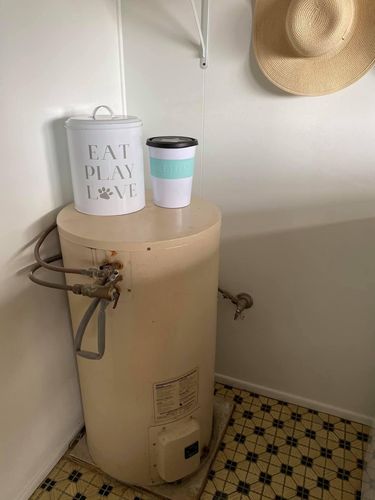 IMG_3945.jpeg IMG_3945.jpeg