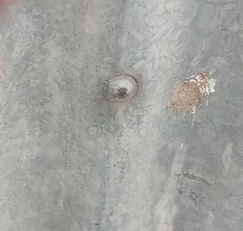 IMG_20240429_100500.jpg IMG_20240429_100500.jpg