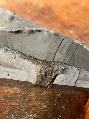 IMG_3286.jpeg IMG_3286.jpeg