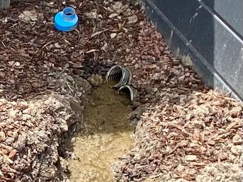 2DAE4ABB-19BA-4ACE-9E29-E3A46F250907.jpeg 2DAE4ABB-19BA-4ACE-9E29-E3A46F250907.jpeg