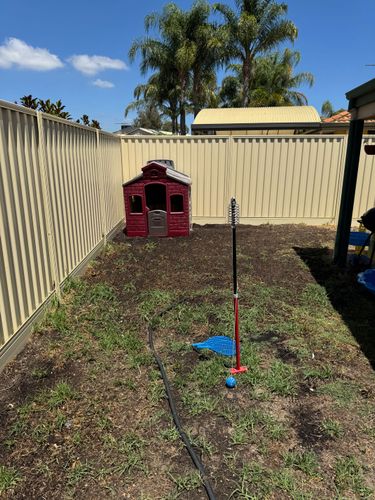 IMG_4675.jpeg IMG_4675.jpeg