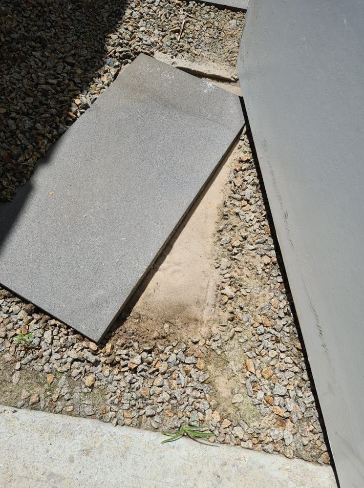 143391098_325385545493089_1415234891162366064_n.jpg 143391098_325385545493089_1415234891162366064_n.jpg