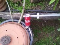 490961194_10237460308349820_5918685173332977969_n.jpg 490961194_10237460308349820_5918685173332977969_n.jpg