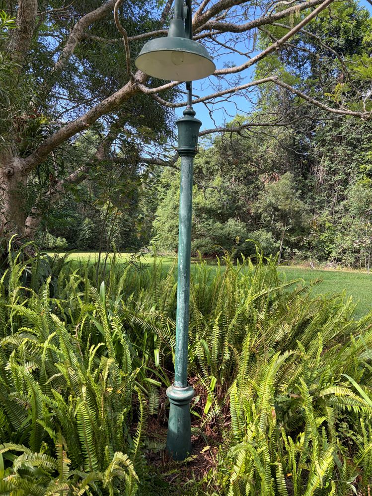 IMG_8387.jpeg IMG_8387.jpeg