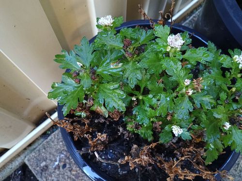 1000072166.jpg 1000072166.jpg