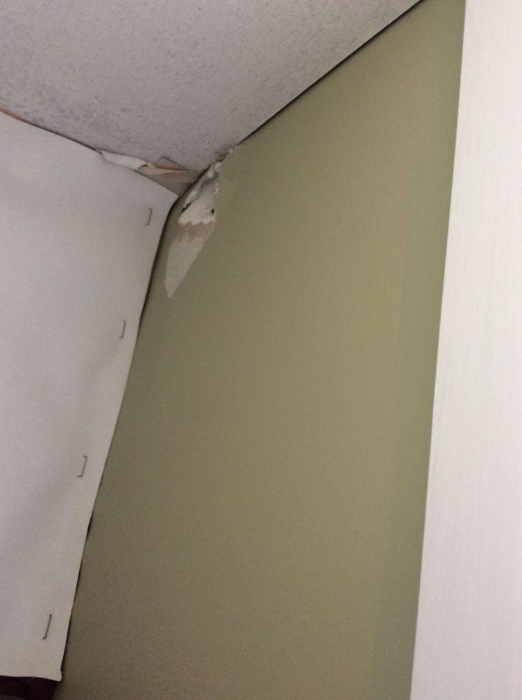 7D933304-8CED-4581-9218-900B6DB37326.jpeg 7D933304-8CED-4581-9218-900B6DB37326.jpeg