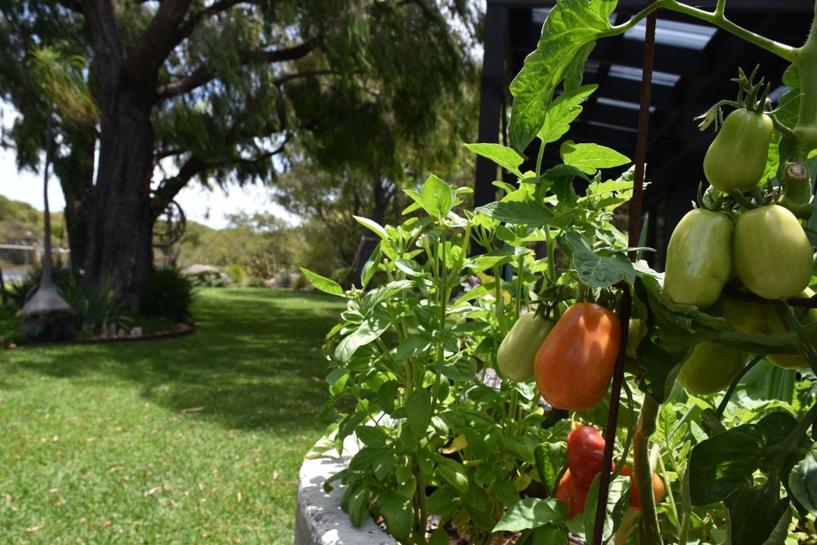 DSC_9164.JPG DSC_9164.JPG