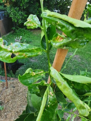 20210130_164128.jpg 20210130_164128.jpg