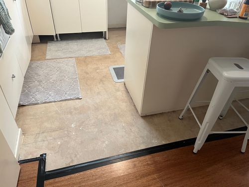 IMG_4506.jpeg IMG_4506.jpeg