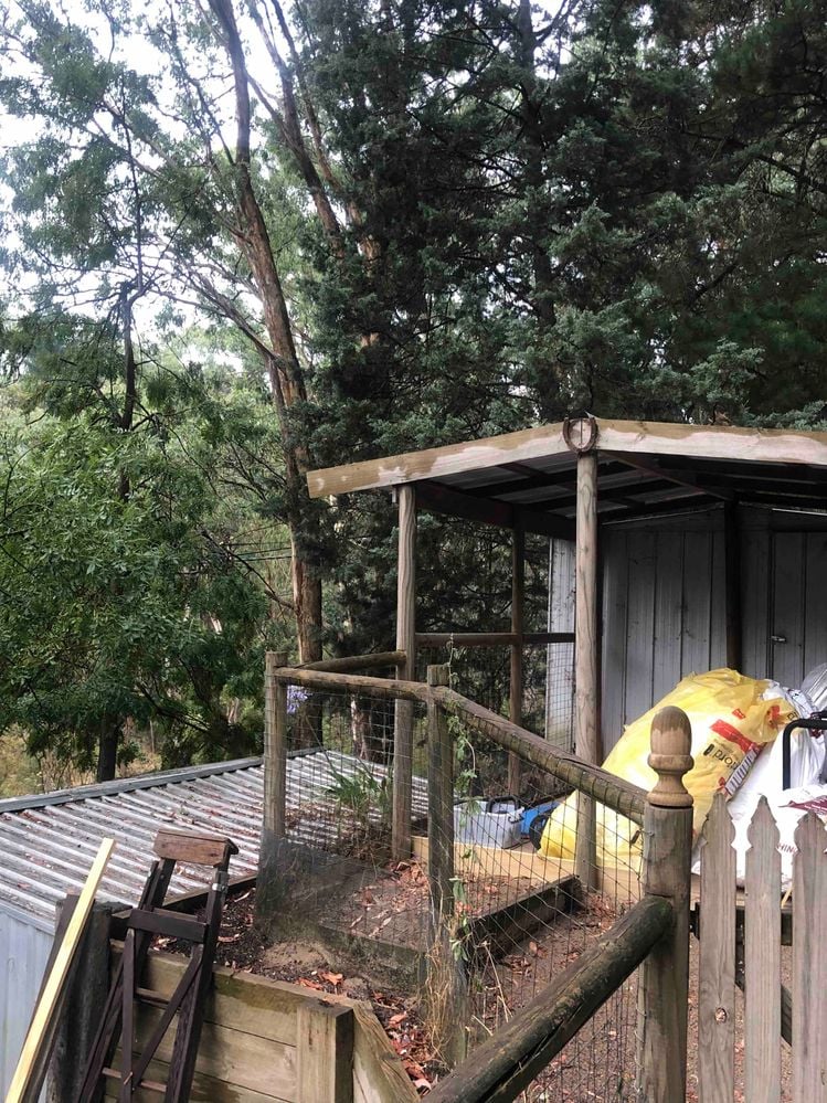 IMG_8494.jpeg IMG_8494.jpeg