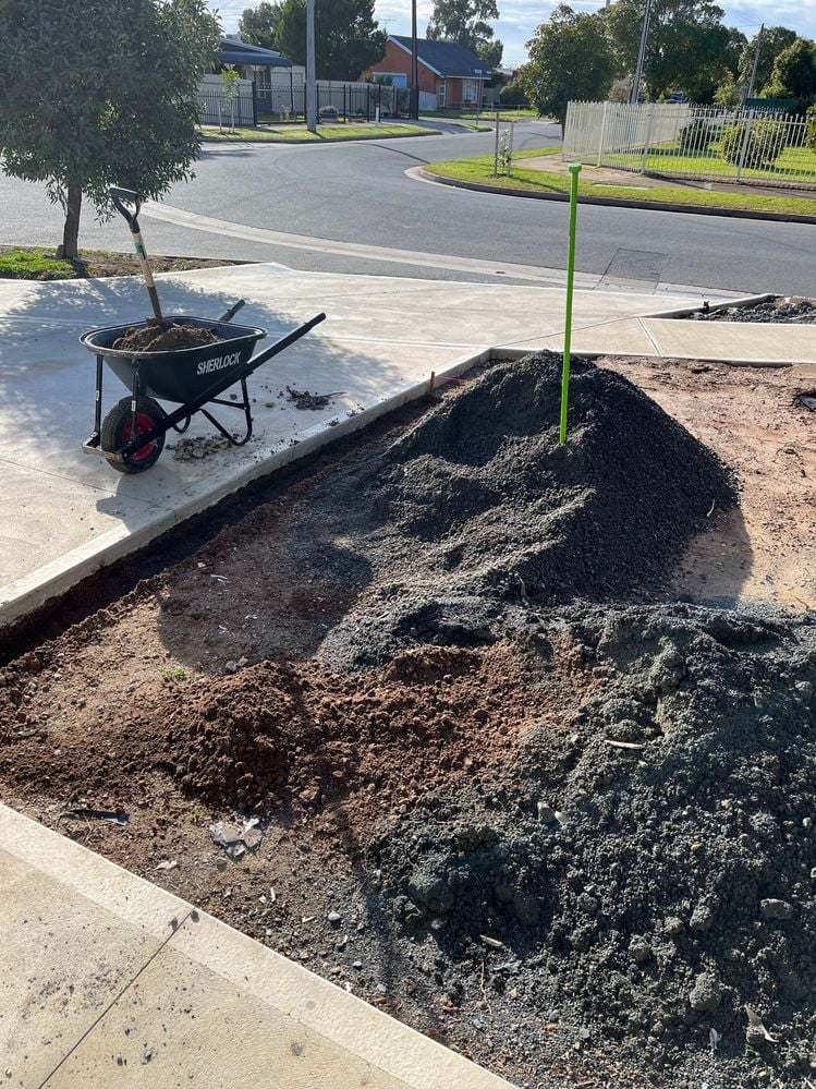 IMG_2728.jpeg IMG_2728.jpeg