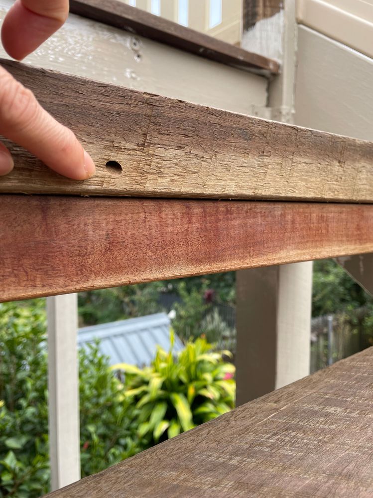 hole 3cm deep.jpeg hole 3cm deep.jpeg