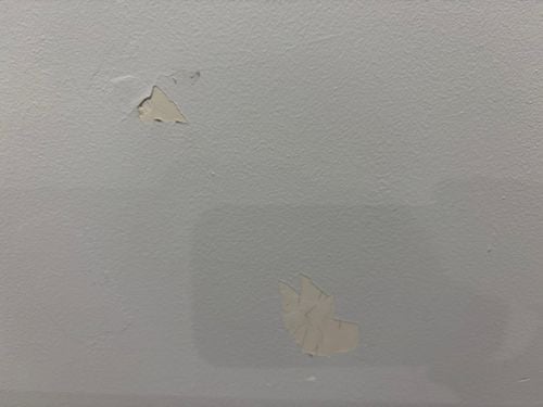 IMG_0509.jpeg IMG_0509.jpeg