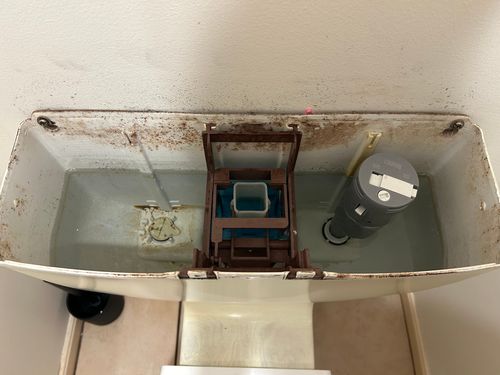 IMG_8982.jpeg IMG_8982.jpeg