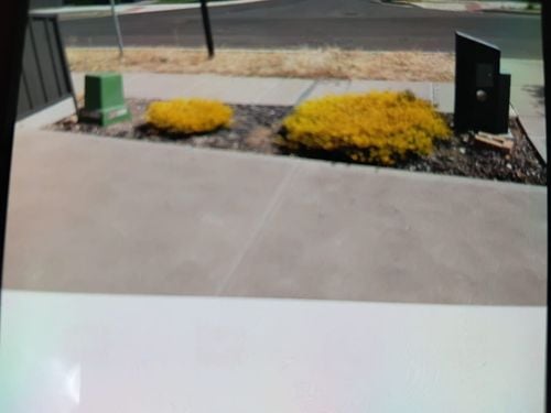 IMG-20250305-WA0002.jpg IMG-20250305-WA0002.jpg