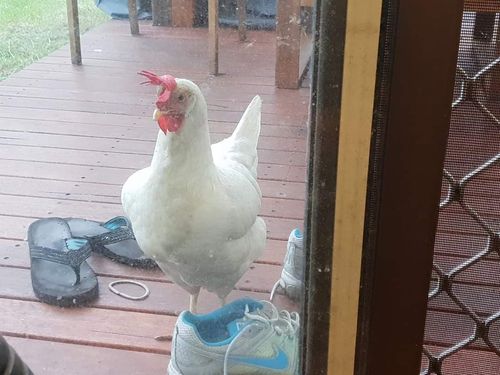 FB_IMG_1615059673657.jpg FB_IMG_1615059673657.jpg