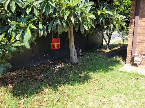 20220131_112513.jpg 20220131_112513.jpg