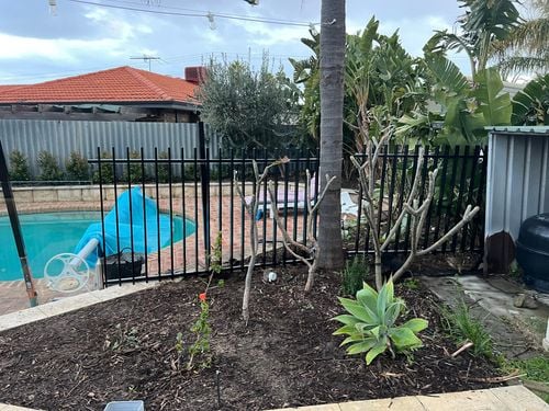 IMG_3169.jpeg IMG_3169.jpeg