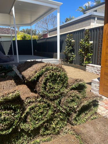 IMG_9996.jpeg IMG_9996.jpeg