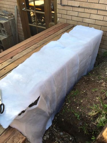 157 06-10-2024.jpg 157 06-10-2024.jpg