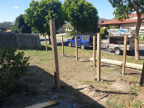 126014608_430239701332145_7530867949226362836_n.jpg 126014608_430239701332145_7530867949226362836_n.jpg