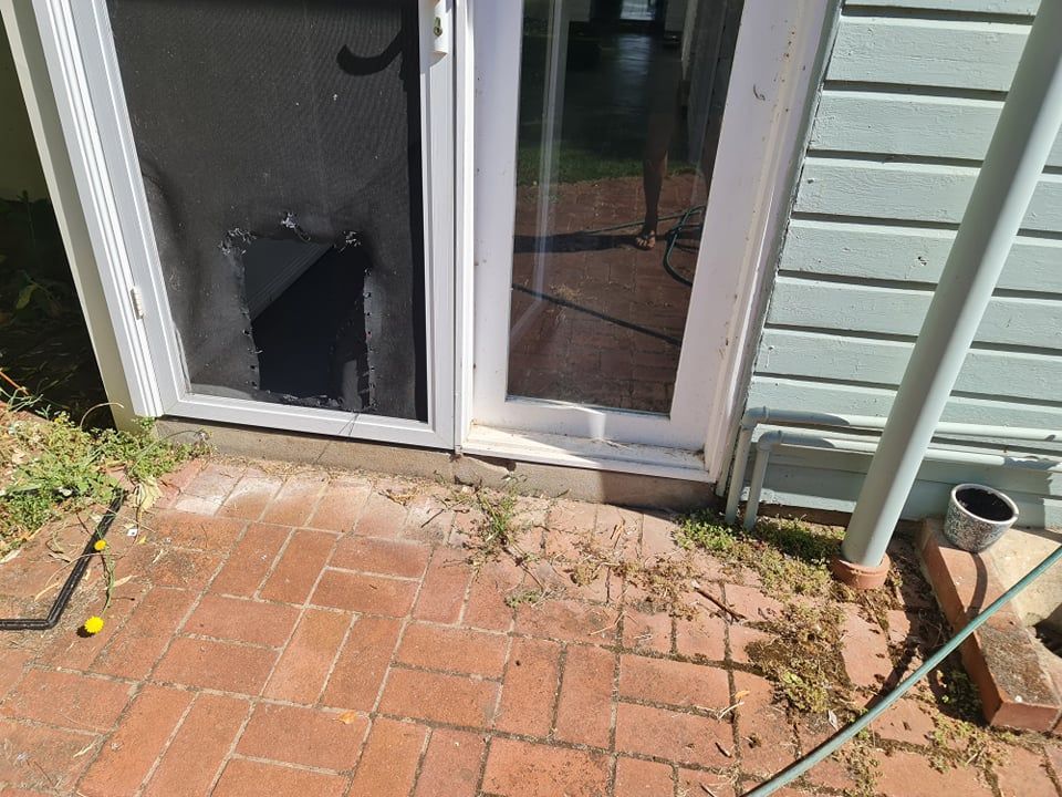 269806795_1248614578964520_7338867432905297507_n.jpg 269806795_1248614578964520_7338867432905297507_n.jpg