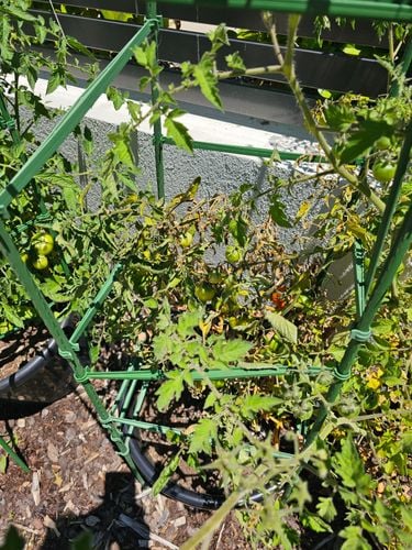 1000110470.jpg 1000110470.jpg