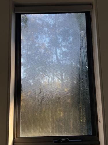 IMG_9724.jpeg IMG_9724.jpeg