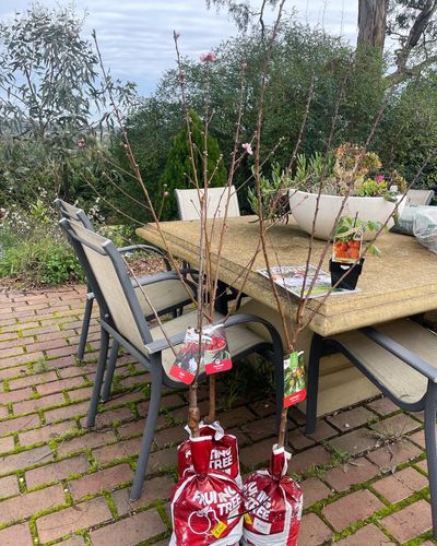 40B499B4-2B83-4C3A-AE53-07B98E059DC2.jpeg 40B499B4-2B83-4C3A-AE53-07B98E059DC2.jpeg